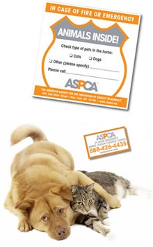 ASPCA Pet Safety Pack