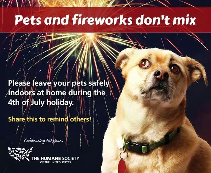 pets-fireworks-dangers