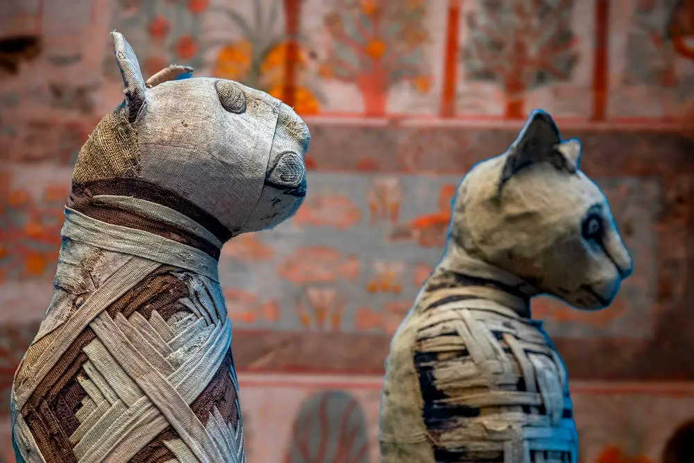 Egyptian Cat Worship